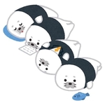 おやすみなさい😴