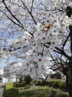 おはようございます?