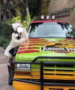 ? 気になるアレのお話?