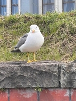 変更です📢✨