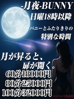 月夜バニー