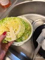 春キャベツの試練?