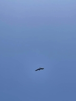 ご予約いただいた方へ