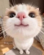 ありがとうー！