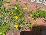 地震大丈夫ですか？