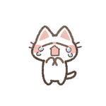 ?明日のこと?