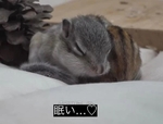 朝活・失敗❗️