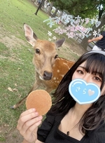 久しぶりです🙌