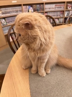 ありがとう🤍