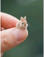おはよう(*´∇｀*)ﾉ
