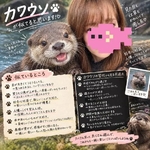 動物診断😀