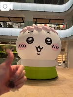 おやすみなさい💫