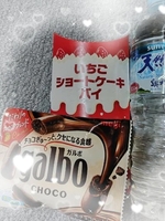 ななせ(電車ごっこ)の写メ日記「🐱🚃プシュ〜」 画像