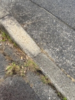 わかな(電車ごっこ)の写メ日記「おはようございます」 画像