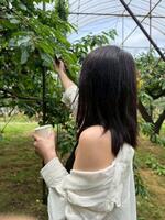 花里 佳乃(アマンクロス)の写メ日記「初体験?」 画像