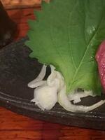 三浦 こまち(ガールズファンタジー)の写メ日記「こんにちは?」 画像