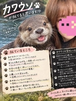 なな(逆電車ごっこ~GLAMOROUS TRAIN~)の写メ日記「動物診断😀」 画像