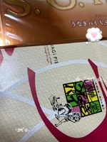 さゆり(逆電車ごっこ~GLAMOROUS TRAIN~)の写メ日記「うなぎパイー!」 画像